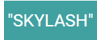 SKYLASH - (Услуги)