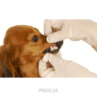 Ультразвуковая чистка зубов собак