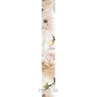 Inter Cerama Stripe 99 071 7x50