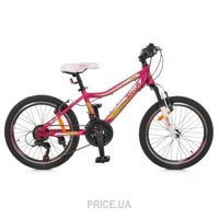 Profi Trike G20CARE A20.1