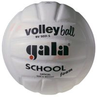 Фото Gala Мяч волейбольный Gala School BV5031SB Мяч вол